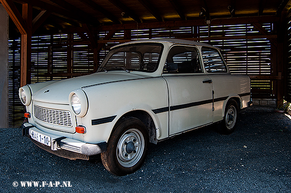 Trabant 601   RAE-1-10   Grenzmuseum Schifflersgrund in Asbach-Sickenberg TH  23-06-2019